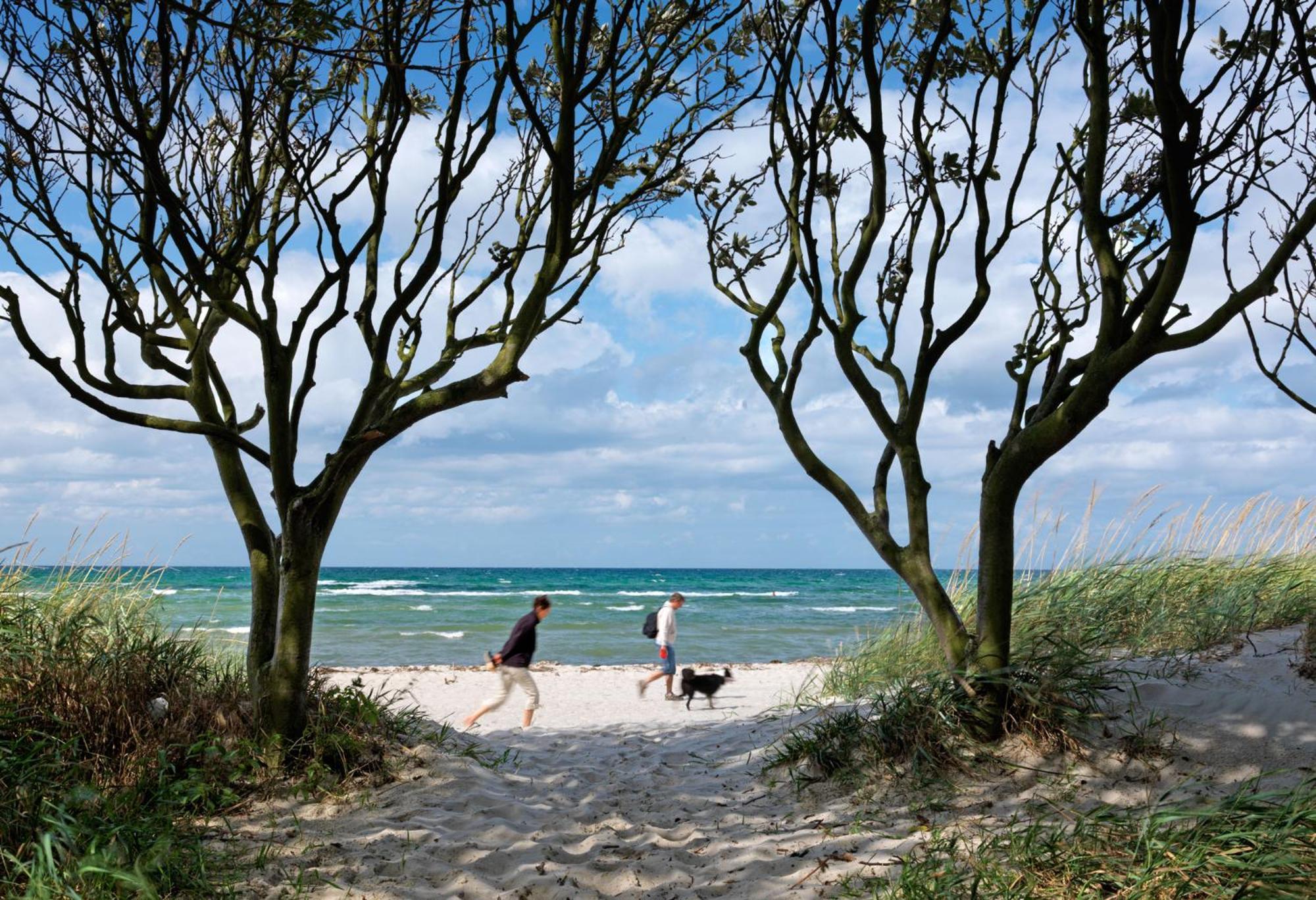 Reihenhaeuser Timmendorf Strand Haus Sonnenaufgang Insel Poel Exterior photo
